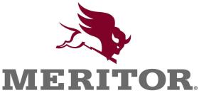 MERITOR 99041045S - BEARING